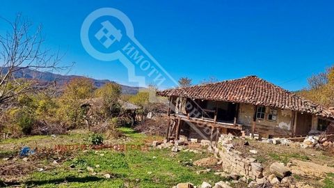 Imoti Tarnovgrad offers you an authentic house in the heart of the Elena Balkan. The property is located 8 km from the town of Varna. Elena, in a quiet and peaceful place. The house has an area of 91 sq. m. It is located on a stone cellar suitable fo...