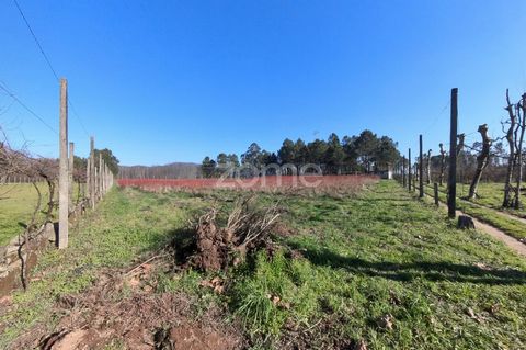 Identificação do imóvel: ZMPT573451 A unique opportunity for agricultural development in a privileged location! Property Details: - Total Area: 13,300 m² - Purpose: Agricultural activity Location and Surroundings: - Located in Barreiros, Amares, the ...