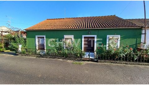 Semi-detached ground floor house with annexes and patio 1 km from a train stop, situated 12 minutes from Tomar and 20 minutes from Torres Novas. This is a semi-detached house that consists of two living rooms, one located right in middle of the house...