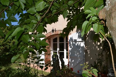 photo no. 16
