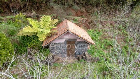 Está á procura de um terreno rústico com construção rural (Palheiro), então este é o terreno ideal para si! Este terreno de 1800 m2 está localizado no sitio de João Frino freguesia de Santo António da Serra. Está no meio da natureza e tem muita priva...