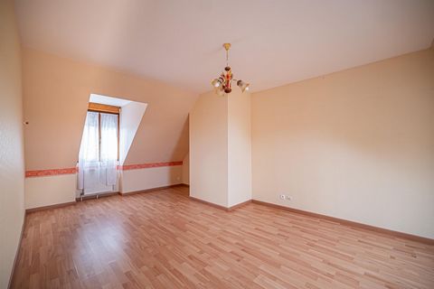 photo no. 11