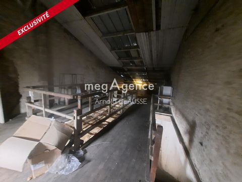 photo no. 5