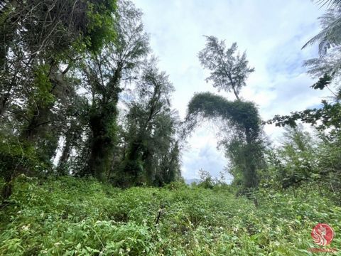 Almost 13 rai of land with a prime location is for sale near Khao Lak Beach in Takua Pa, Phangnga. It is next to the public road and has access to electricity and water. The Chanote is a title deed, convenient for travel, and the back area has mounta...