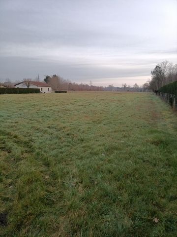 photo no. 1