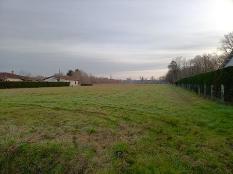 photo no. 2
