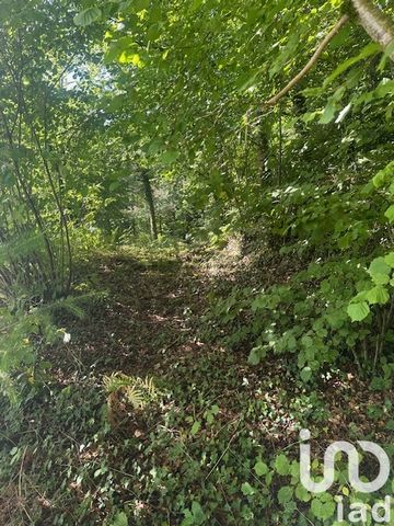 iad France - Cindy Legros vous propose: Les parcelles AK0281 et AK0277 d'une surface totale de 373m2 constitues le chemin d'accès à la parcelle. La parcelle AK0284 a une surface de 1785m2. Elle devra être nettoyé afin de pouvoir prévoir une éventuell...