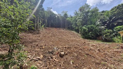 Grand terrain de 1301m2 pour votre projet en accord avec la nature