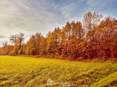 Terrain non constructible - 12718m² - Celle-Lévescault