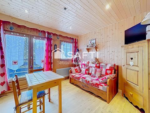 Studio cabine 22 m au pied des pistes