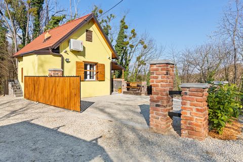 Dit vakantiehuis ligt in Donja Stubica en beschikt over een heerlijk terras. Het huis heeft 1 slaapkamer die plaats biedt aan maximaal 4 personen tegelijk. Dit is een ideale accommodatie voor een gezin. Je kunt gaan wandelen in het nabijgelegen bos, ...