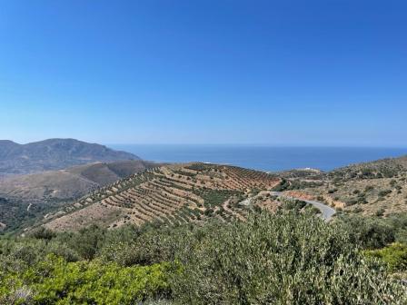 Pefki - Makrigialos Terrain avec vue sur la montagne et la mer. Le terrain fait 11.000m2 hors du plan du village et peut construire jusqu'à 280m2. A côté de la parcelle se trouve un réservoir d'eau et l'électricité est à proximité. Enfin, il est à 7k...