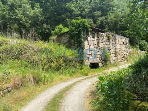 Land with 1500m2 and ruin of 1 floor, with approximately 90m2 for reconstruction, inserted in a paradisiacal area with regard to silence and contact with nature. Located on the bank of a stream, it allows the installation of a mini-water for electric...
