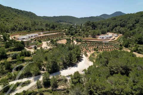 This unique and special complex of 3 luxury villas is located in the area of San Agustin. A quiet and secluded area that maintains the classic essence of the island of Ibiza in previous decades. The complex of 3 independent villas is newly built and ...