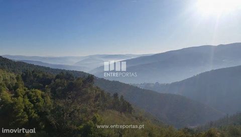Land for sale with an area of 13 880 m2, fantastic views. Great hits. Excellent opportunity! Tresouras, Baião. Ref.: MC08172 FEATURES: Land Area: 13 880 m2 Area: 13 880 m2 Useful Area: 13 880 m2 Energy Efficiency: Exempt ENTREPORTAS Founded in 2004, ...
