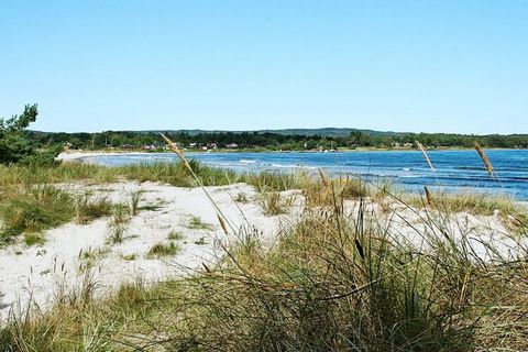 Casa vacanza situata a ca. A 200 metri dalla spiaggia di sabbia bianca adatta ai bambini di Balka, su un terreno leggermente collinare con alberi di pino.