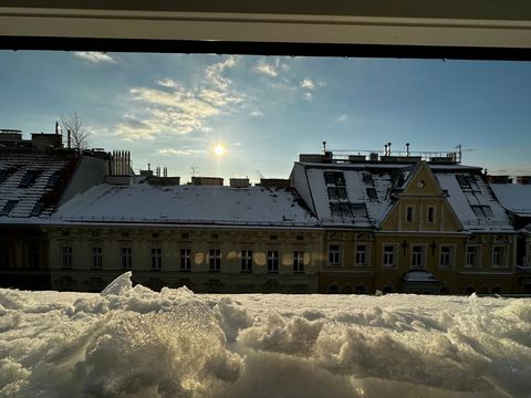 Großes Apartment im Stadtzentrum! -Moderne Küchengeräte & Waschmaschine -Große Terrasse mit Blick über Wien -Beste Restaurants in der Umgebung -15 Gehminuten vom Stephansplatz entfernt