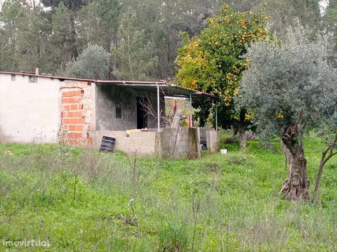 Kleiner Bauernhof in Cebolais de Baixo. Gute Zufahrt, mit fantastischer Aussicht. Alles eingezäunt, bestehend aus Land, einer landwirtschaftlichen Unterstützung, Holzofen und Grill. Es hat einen Brunnen mit viel Wasser, Obstbäume, Weinreben, Olivenbä...