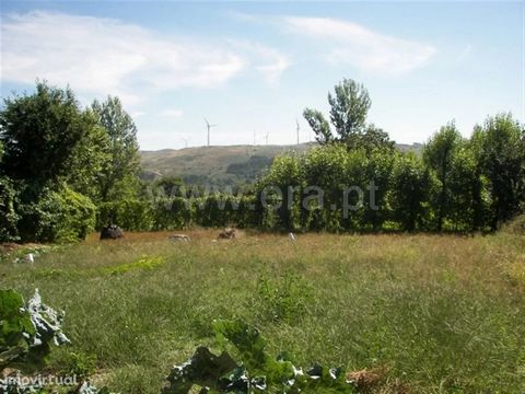 Land intended for construction. With the area of 1000m2. With Spring Water. 7 km from the city of Fafe.