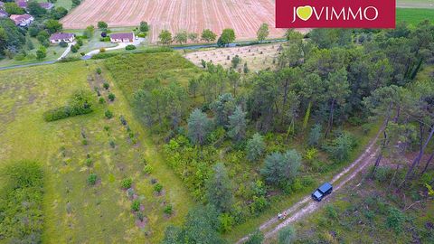 Located in Neuvic. BEAUTIFUL 5570 M2 LAND, PARTLY FORESTED, WITH SOUTH PANORAMIC VIEWS JOVIMMO votre agent commercial Walter JOVENIAUX ... Plot of land of 5570 m2 (1650 m2 of which is building land). Parcelle ZI, located : 6 lieu dit Le terrier (Vinc...