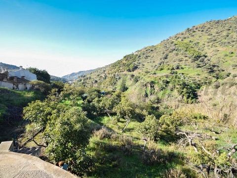 This plot is located about 15 minutes drive from the village of Torrox. It has beautiful views of the surrounding countryside and mountains. The total plot offered for sale comprises approximately 1500 m2 and has approximately 60 avocado trees and a ...