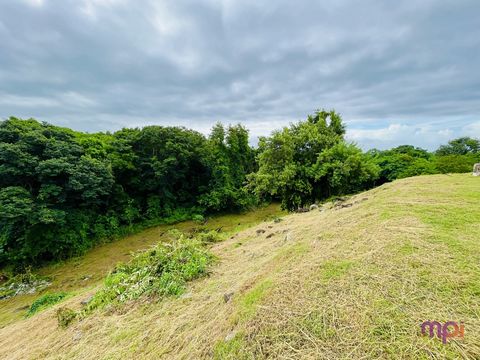 SYLVAIN GARDIN, your MPI IMMO negotiator, offers you 300 meters from the beach, close to shops, a plot of 1213m2 with a sloping sea view. Zone U2 of the PLU of SAINTE LUCE. Bounded, serviced. No PC suspensive clause because of the PLU building regula...