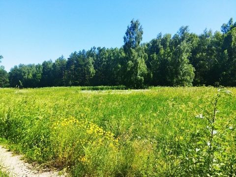 Продаю участок в деревне, электричество 15 кВт на каждый участок, есть круглогодичный подъезд. Индивидуальное Жилищное Строительство позволяет построить жилой дом с возможностью постоянной или временной регистрации. Расстояние до поселка составляет 9...