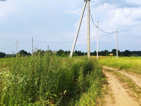 Участок в деревне. В 15 минутах езды от города Ясногорск. Рядом все необходимое: автобусная остановка, магазин. школа, клуб. Дороги ремонтируются, чистятся администрацией. В соседней деревне древний храм. Прекрасные грибные леса, каскад озер. #771646...