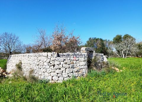 For sale in the countryside of Carovigno, an interesting lamia to be restored consisting of a single room and located on beautiful flat land, cultivated with arable crops and orchards. The property is just 4 km from the town centre and only 10 km fro...