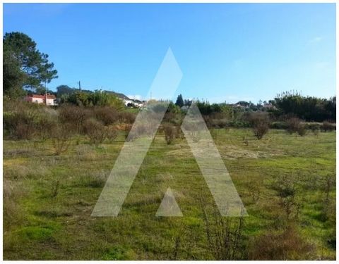 Land with 21.800 m2 and implementation capacity for 14 lots of individual villas. The land is located in a quiet area, just 8km from the center of the city of Leiria, with good access and close to shopping and services. Ref.: 1130184/19 LR