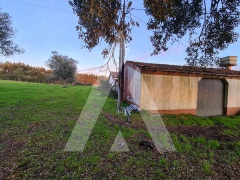 Are you looking for a safe and profitable investment? We have an amazing opportunity for you! - Farm with more than 16 hectares, consisting of 3 articles, located in Souto da Carpalhosa, at the gates of the city of Leiria, just 15 km from Vieira de L...