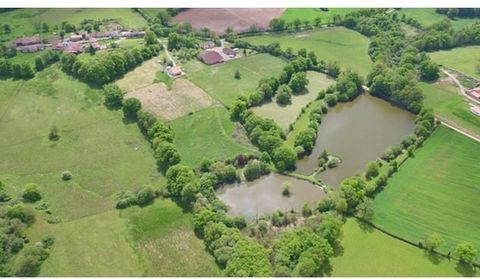 For Sale, House, Gîte, Barn and Napoleonic Lake with stock pond; near Abzac in the Charente, Nouvelle Aquitaine. This is an excellent opportunity to buy two beautifully renovated traditional properties, with their own Napoleonic fishing lake; meaning...