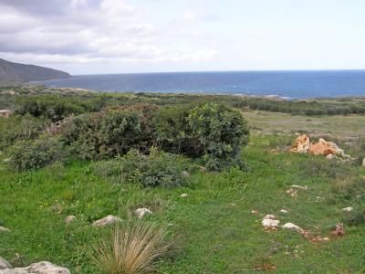 Located in Agios Nikolaos. This building plot is north of the busy luxury tourist resort of Elounda in an amphitheatrical position with very nice views of the Cretan Pelagus nest to a small village called Vlyhadia. The plot has good road access and h...