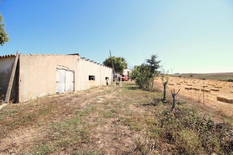 Located in Aljezur. It is on a land with a size of 6 hectares that we find an old agricultural unit with a total covered area of 1,800 sqm. It’s not every day that we come across a property of this size in the heart of the Costa Vicentina. The old wa...