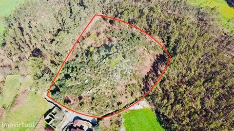 Land on one of the highest points of Macieira de Rates with 11,459 (1.5 Ha). This land features: 800 m2 of construction allowed. Good access, with unique and breathtaking views. The locality has a kindergarten, school, pharmacy and health center. It ...