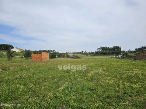 Land for construction with 7,120m2 in Casais das Boiças, Alcoentre! The fact that this land is very long makes it seem that it is narrow, however it is approximately 49 meters in front and 180m long. It is accessed by road next to the area that allow...