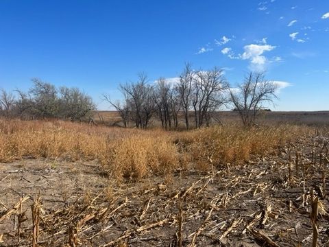 Location is what this piece has to offer. Located within 1 mile of Damar and 1/2 mile of a well maintained asphalt highway. This land has over 63 acres of cultivation and a timber filled draw on the eastern part. Wildlife such as pheasant, quail, dee...