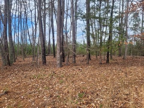Located about 10 min from Hampden Sydney is this nice level wooded lot that has electric, well and septic in place. Singlewide on property. Sold AS IS