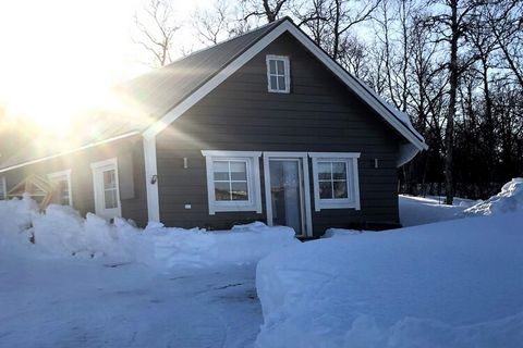 Welcome to a cozy newly built cabin in Joesjö outside Hemavan by the mountain towards Norway and southern Storfjället. The cottage has everything for a successful stay, living room with sofa bed and TV with channel 1.2 and 4.a. Bedroom with bunk bed ...