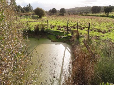 Ein ausgezeichnetes Anwesen mit einer Gesamtfläche von 30.000 m², perfekt für diejenigen, die einen Rückzugsort auf dem Land suchen. Das Land ist ein wahres Naturparadies mit Obstbäumen wie Orangen und Mispeln sowie einem traditionellen reifen Oliven...