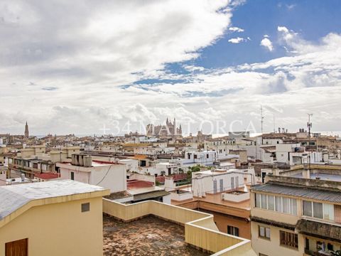 Ubicado en una de las zonas más exclusivas de Palma, este impresionante piso en el prestigioso Paseo Mallorca ofrece una oportunidad única de vivir con vistas panorámicas al mar, la Catedral, la riera y los tejados de la ciudad. Con 199 m² construido...