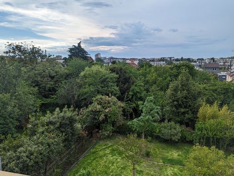 photo no. 17