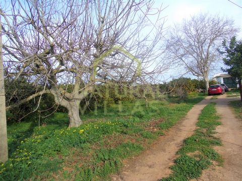 Versatile with potential for cultivation and leisure, ideal for those looking for tranquillity and proximity to urban areas. This is a unique opportunity to acquire a mixed plot with a total area of 4,652.50 m², located just 2 km from the urban centr...