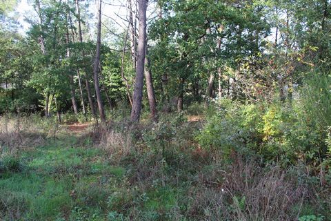 Good plot of constructible land. Water, electricity, telephone line, and mains drainage already in place. The plot is situated in a quiet residential lane on the edge of a village just minutes away from Gaillac. Oaks and pine trees have been left in ...