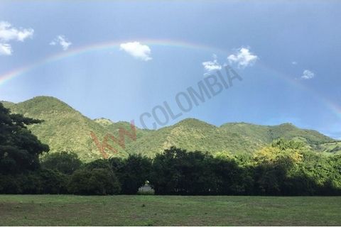 Exclusive sector of the village of Guacamayas at a distance of 1,600 meters from the center of the municipality (5 minutes) of great value, with access on the road that leads to San Antonio de Anapoima. It has an aqueduct water point, electricity net...