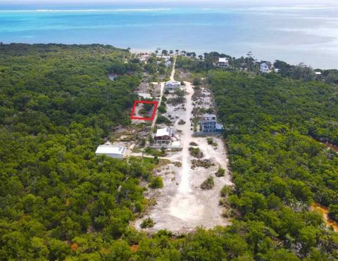 Nestled in Caye Caulker’s serene South Point neighborhood, this oversized parcel of land offers a rare opportunity to create your own private oasis in one of Belize’s most sought-after destinations. The land is 8030 square feet which is approx 100ft ...