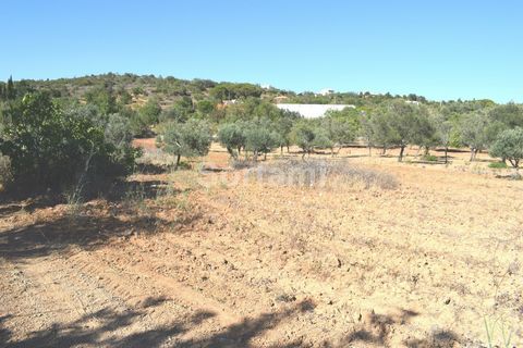 Rustikales Land in Boliqueime Mit einer Gesamtfläche von 2980m2 hat dieses Land mit flachem Hang bereits Obstbäume wie Feigen- und Olivenbäume. Es liegt ganz in der Nähe des Dorfes und aller Annehmlichkeiten und Dienstleistungen, die Boliqueime biete...