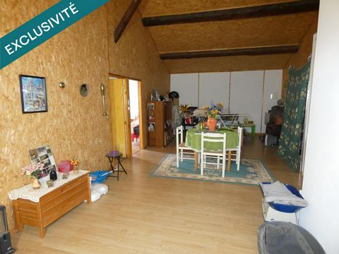 photo no. 6