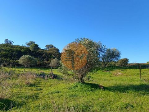 Terrain de 12.180m², à Pedra Arrancada, Altura - Castro Marim - Algarve. Terrain avec un permis de forage, pour la collecte de l’eau. Avec quelques arbres. Avec étanchéité. Il est situé à quelques minutes des plus belles plages de l’Algarve. Situé à ...