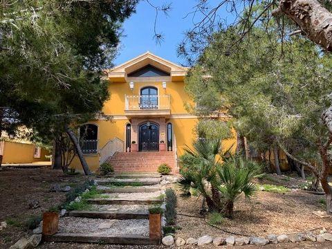 Cette villa individuelle de style rustique est située à Rojales, Ciudad Quesada, à 36 km d'Alicante et à 39 km de Murcie.La villa comprend 6 chambres, 3 salles de bains, un coin repas, une cuisine entièrement équipée et un patio avec vue sur le lac, ...